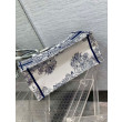 Dior Dior Book Tote media Rêve d'Infini ricamo bianco/blu Dior Dior Book Tote media Rêve d'Infini ricamo bianco/blu