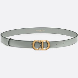 Miglior Prezzo Qualità superiore replica Cintura Dior Saddle 20MM Grigia Replica