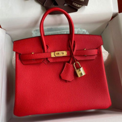 Borsa Hermes Birkin 25 Retourne Vertigo Clemence