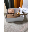 Cintura Dior Caro 15MM con custodia rimovibile Beige Cintura Dior Caro 15MM con custodia rimovibile Beige
