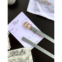 Qualità superiore replica Cintura Dior Saddle 20MM Grigia
