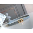 Qualità superiore replica Cintura Dior Saddle 20MM Grigia