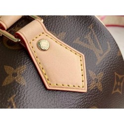 LV Speedy Bandouliere 20 Monogram M45948