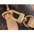 LV Speedy Bandouliere 20 Monogram M45957