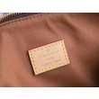 LV Speedy Bandouliere 20 Monogram M45957