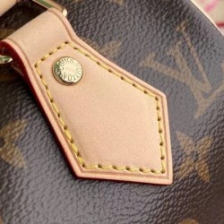 LV Speedy Bandouliere 20 Monogram M45948