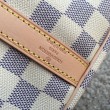 Borse Speedy Bandoulière 30 Damier Azur N41373