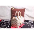 Prezzo Borse Speedy 25 Damier Azur N41371