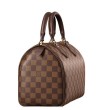 Borse Speedy 25 Damier Ebene N41365