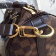 Borse Speedy Bandoulière 25 Damier Ebene N41368