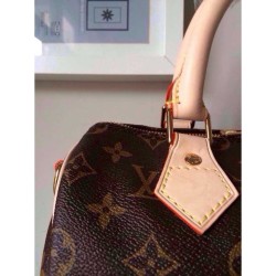 Borse Speedy Bandouliere 25 Monogram M41113