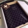 Damier Graphite Petit Sciarpa NM M74200
