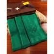 Monogram verde Scialle M75498
