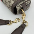 Qualità superiore replica Borsa mini Gucci Ophidia 795466 marrone