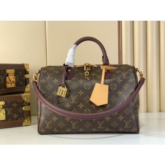 LV M28379 Borsa Speedy Soft 30 Celebration