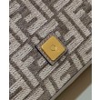 Fendi Baguette 8BR6009 Grigio