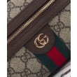 Borse Imitazioni a tracolla mini Gucci Ophidia 816359 Caffè scuro
