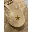 Borsa Dior Groove 25 in pelle di vitello Macrocannage biscotto