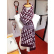 Dettagli perfetti Dior CD Stola Oblique Lana e Cashmere Bordeaux Dettagli perfetti Dior CD Stola Oblique Lana e Cashmere Bordeaux