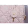 Dior Groove 25 Borsa in Biscotto Macrocannage rosa