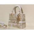 Dior Media Borsa Lady D-Lite Ricamo Jardin d'Hiver Oro