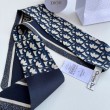 Dior Oblique Mitzah Sciarpa Twill di Seta Blu