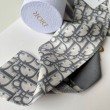 Dior Oblique Mitzah Sciarpa Twill di Seta Grigio