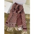 Dior Oblique Sciarpa Cashmere Borgogna