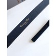 Dior Saddle 20MM Cintura Nero