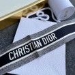 Dior Toile de Jouy Sauvage Mitzah Sciarpa Twill di Seta Blu