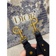 falso Dior Tracolla Dior Velluto Ricamato Obliquo Blu falso Dior Tracolla Dior Velluto Ricamato Obliquo Blu