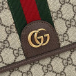 Gucci Ophidia Men messenger bag Marrone