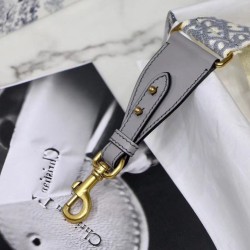 Qualità Specchio Replica falso Dior Tracolla Obliquo Grigio Riproduzione Fedele falso Dior Tracolla Obliquo Grigio imitazioni