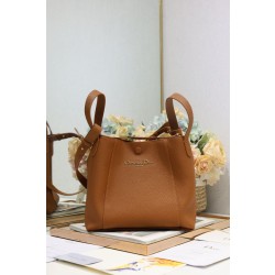 Borsa a secchiello Dior Signature piccola/media marrone Imitazioni