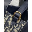 Borse Replica a secchiello Dior Signature piccola/media replica Dior Oblique Jacquard blu