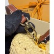 Borsa a tracolla LV Vanity Chain Albicocca