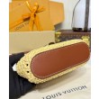 Borsa a tracolla LV Vanity Chain Albicocca