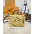 Borsa a tracolla LV Vanity Chain Albicocca
