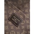 Borse Imitazioni LV Express MM M26397
