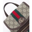 Zaino piccolo Gucci Ophidia 836854 Caffè scuro