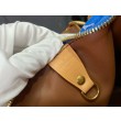 Borse Replica LV Speedy P9 Bandouliere 25 Monogram M24424