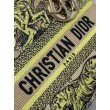 Borsa Dior Dioriviera Lady D-Lite Media Raffia con Ricamo Toile de Jouy Sauvage Lime