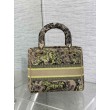 Borsa Dior Dioriviera Lady D-Lite Media Raffia con Ricamo Toile de Jouy Sauvage Lime