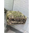 Borsa Dior Dioriviera Lady D-Lite Media Raffia con Ricamo Toile de Jouy Sauvage Lime