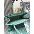 Qualità superiore replica Dior media Dioriviera Book Tote Aquamarina Ricamo Toile de Jouy