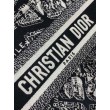 Borsa Dior piccola Book Tote con tracolla Ricamo Plan de Paris e pelle di vitello nera