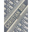 Borse Imitazioni Dior piccola Book Tote con tracolla Tela Dior Oblique grigia