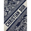 Borsa tote media Dior Book con tracolla Ricamo invertito Toile de Jouy