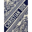 Dior Media Book Tote Bag con Tracolla Blu Ricamo Toile de Jouy Sauvage