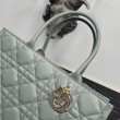 Dior Medium Book Tote Bag con tracolla Grigio Macrocannage